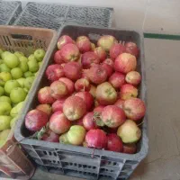 ۳ کیلو ۱۰۰ هزار