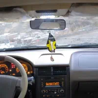 پژو 405 مدل 95بی رنگ|خودرو سواری و وانت|مریوان, |دیوار