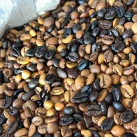 قهوه عمده ارسال رایگان
