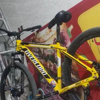 دوچرخه کوهستانی 29