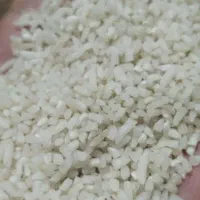 برنج نیمدانه طارم هاشمی خالص با کالا برگ