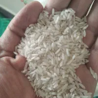 برنج اقتصادی دانه کامل