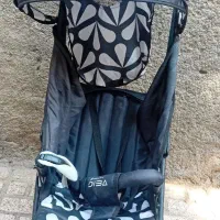 کالسکه عصایی