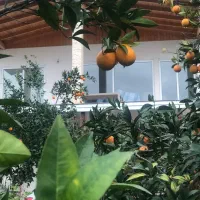 اجاره روزانه ماهانه ویلا