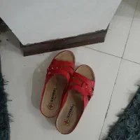 دمپایی کفشی