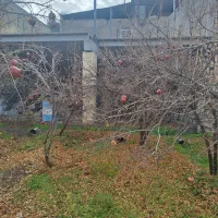 باغ ویلا (خونه باغ) امشب بخری تخفیف ویژه داره