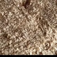 سبوس گندم عمده