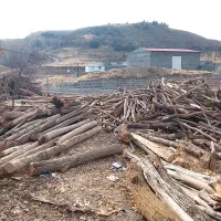 چوب فروشی لطفی