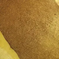 فروش پودر جوجه درجه ۱|عمدهفروشی|رشت, گلزاران|دیوار