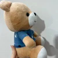 خرس|اسباب‌‌بازی|قم, نخودی|دیوار