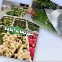 نیروی کار در قسمت سبزیجات آماده