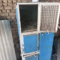 قفس|لوازم جانبی حیوانات|ساوه, |دیوار