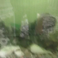 اروندکنار نهرعوج البوحیه