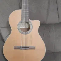 گیتار آلمانزا nature cw400...pickup