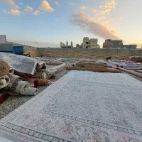 قالیشویی ایرانیان