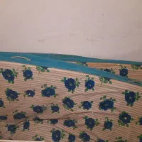 دو عدد تشک یک نفره