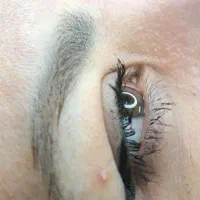 خدمات تتو|خدمات آرایشگری و زیبایی|مشهد, گلبرگ|دیوار