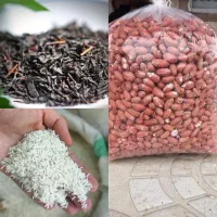 مستقیم گیلان آستانه اشرافیه