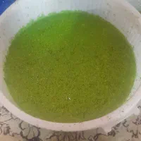 عدسک ابی