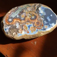 باباقوری خوشه ای