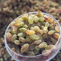 کشمش سبز امسال تمیز و تازه