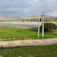 گلخانه-مجهز-متراژ-11500-متر-مربع-زمین-و-سازه-4500