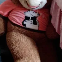 عروسک خرسی بزرگ تمیز
