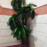 درخت نخل با گلدان سفالی طرح دار