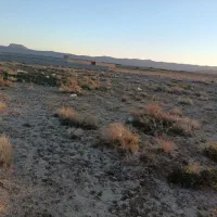 ۷۰۰متر زمین درحاجی آباد
