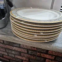 ۹عدد پلوخوری دور طلایی -مارک پردیس