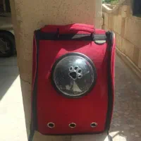 کیف حمل حیوانات