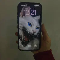۱۶ پرومکس ۲۵۶