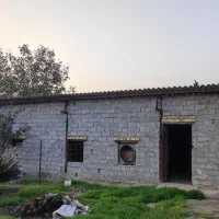 فروش دامداری (پرورش گوسفند)|فروش دفتر صنعتی، کشاورزی، تجاری|ساری, |دیوار