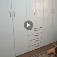 فروش آپارتمان