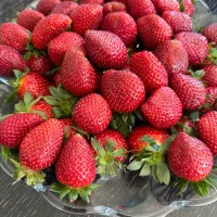 استخدام کارشناس کشاورزی