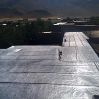 ایزوگام کاری و آسفالت کاری  اقساط ۶ماهه|خدمات پیشه و مهارت|اراک, |دیوار