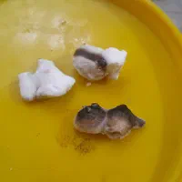 استخاره قرآن.|خدمات پذیرایی، مراسم|بم, |دیوار