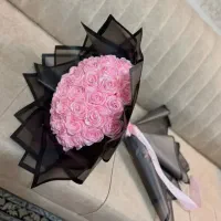 گل رز