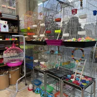 قفس پرندگان زینتی .عروس هلندی .گرینچیک و ..|لوازم جانبی حیوانات|اصفهان, شیخ اشراق|دیوار