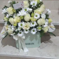 زمین۲۳۵در۱۴متری ترمینال