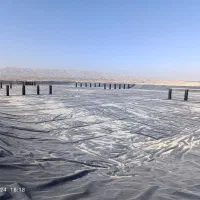 لاینر ژئوممبران