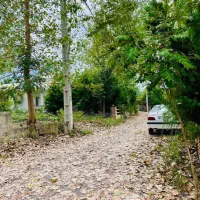 ویلا باغ مشجر250متری|فروش خانه و ویلا|چمستان, |دیوار