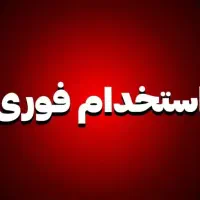 استخدام نیروی فعال با درآمد بالا