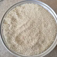 نیم دانه|خوردنی و آشامیدنی|ایلام, |دیوار