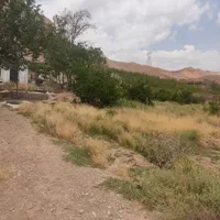 فروش  باغ دماوند ورانه|فروش دفتر صنعتی، کشاورزی، تجاری|آبسرد, |دیوار