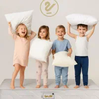 تشک یکنفره فنری کد(1107)