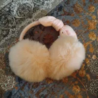 گوشگیر هدفونی