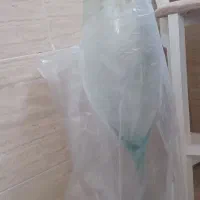 گلدان شیشه‌ای|گل مصنوعی|قم, پردیسان|دیوار