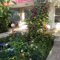 اجاره باغ ویلا سوئیت 70متری|اجارهٔ کوتاه‌مدت ویلا و باغ|همدان, |دیوار