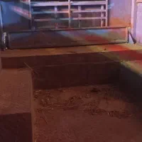 نیسان زامیاد|خودرو سواری و وانت|تربتحیدریه, طالقانی|دیوار